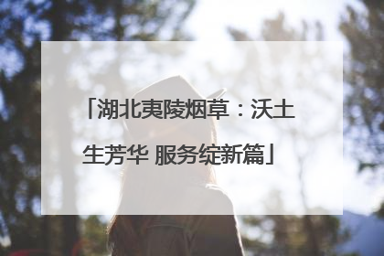 湖北夷陵烟草：沃土生芳华 服务绽新篇